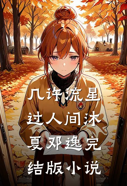 几许流星过人间沐夏邓逸完结版小说