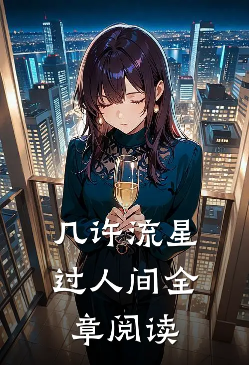 几许流星过人间全章阅读