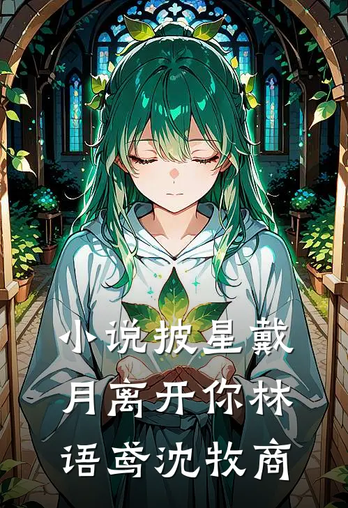 小说披星戴月离开你(林语鸢沈牧商)