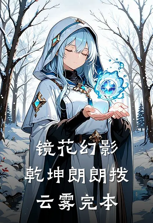 镜花幻影，乾坤朗朗拨云雾完本