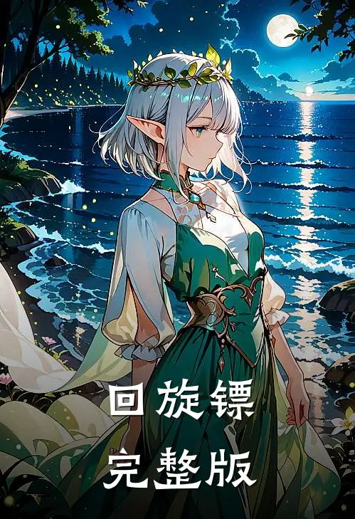 回旋镖完整版