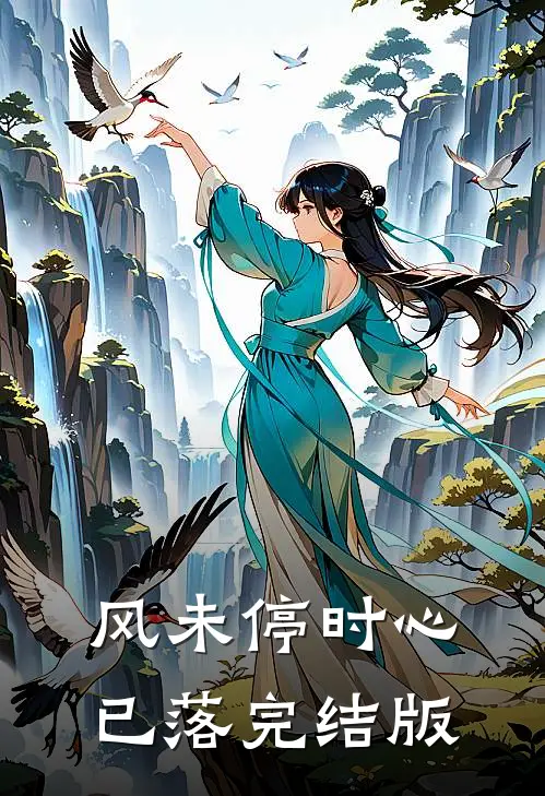 风未停时心已落完结版