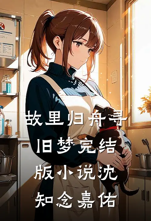 故里归舟寻旧梦完结版小说沈知念嘉佑