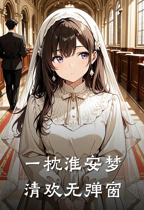 一枕淮安梦清欢无弹窗