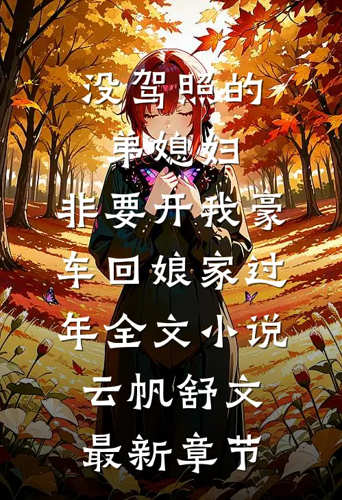 没驾照的弟媳妇，非要开我豪车回娘家过年全文小说云帆舒文最新章节