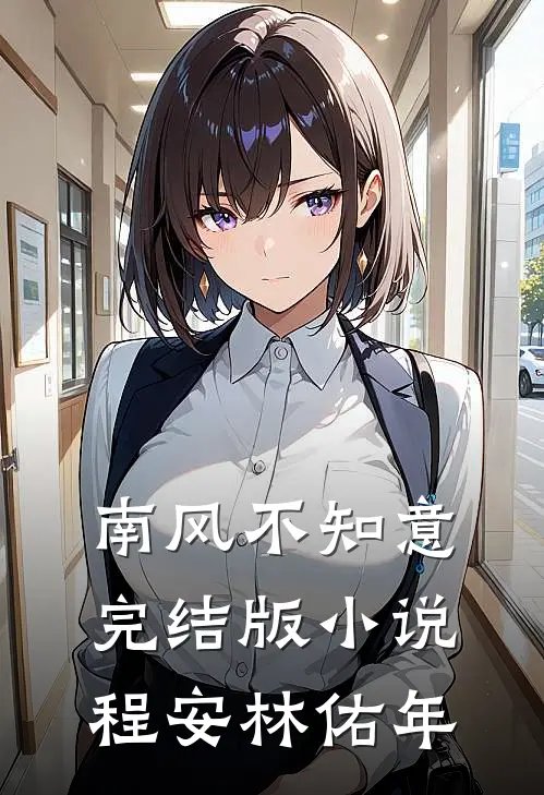南风不知意完结版小说程安林佑年