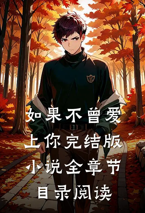 如果不曾爱上你完结版小说全章节目录阅读