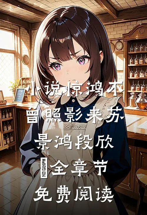 小说惊鸿不曾照影来苏景鸿段欣玥全章节免费阅读