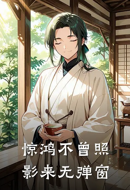 惊鸿不曾照影来无弹窗