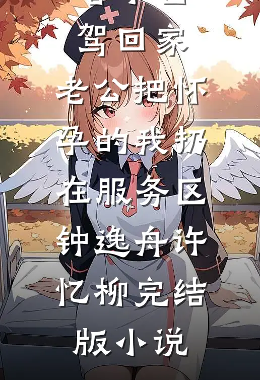 春节自驾回家，老公把怀孕的我扔在服务区钟逸舟许忆柳完结版小说
