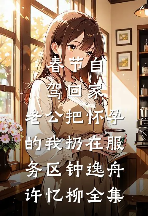 春节自驾回家，老公把怀孕的我扔在服务区钟逸舟许忆柳全集