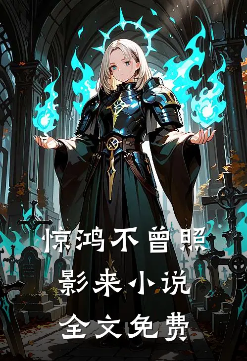 惊鸿不曾照影来小说全文免费