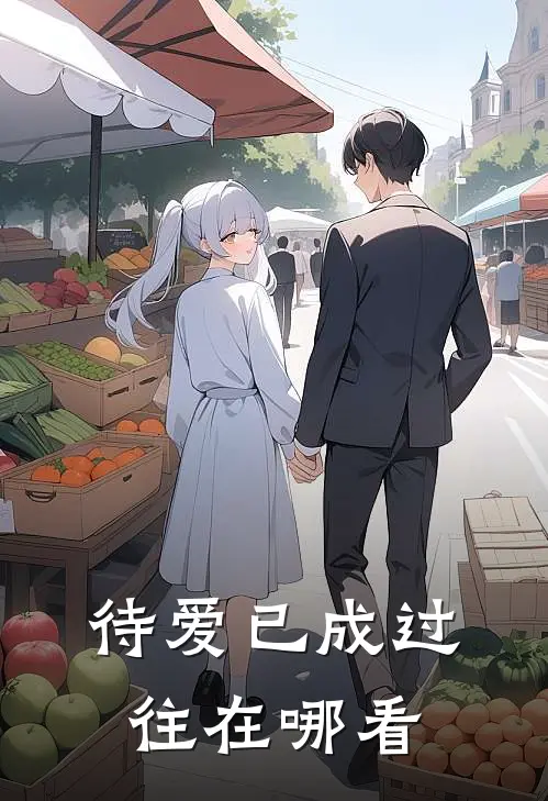待爱已成过往在哪看