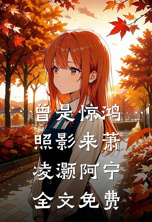 曾是惊鸿照影来萧凌灏阿宁全文免费