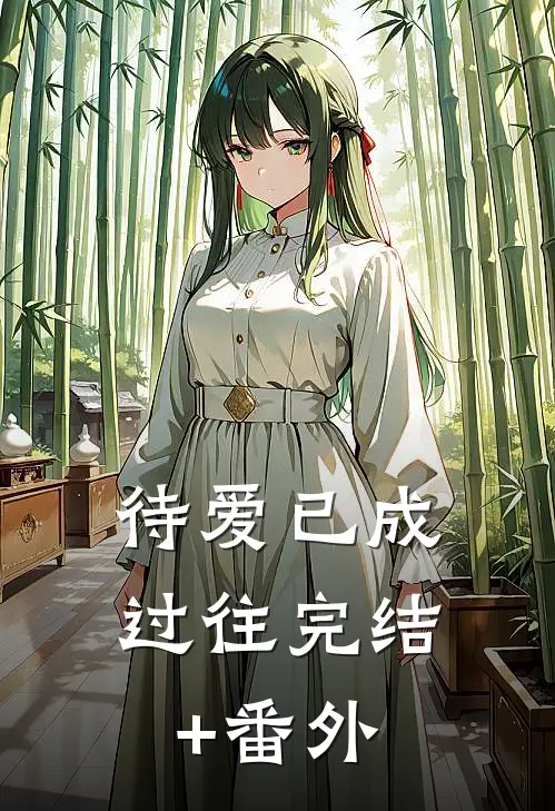 待爱已成过往完结+番外