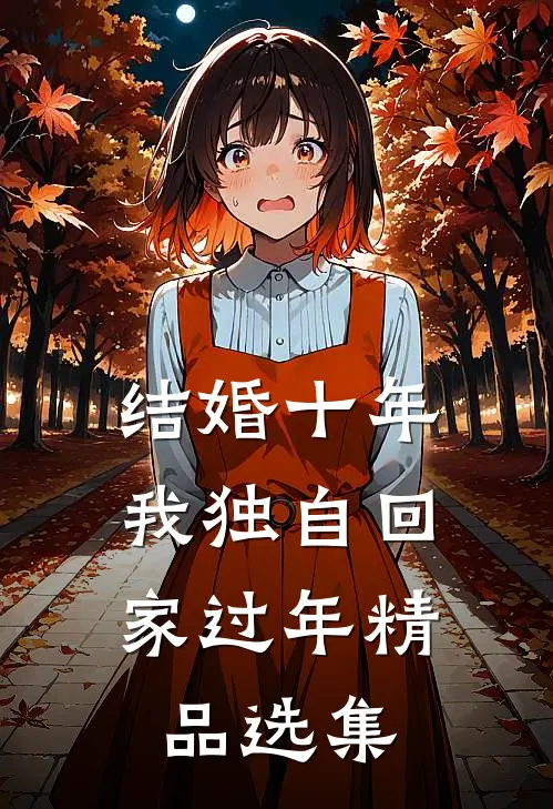 结婚十年，我独自回家过年精品选集
