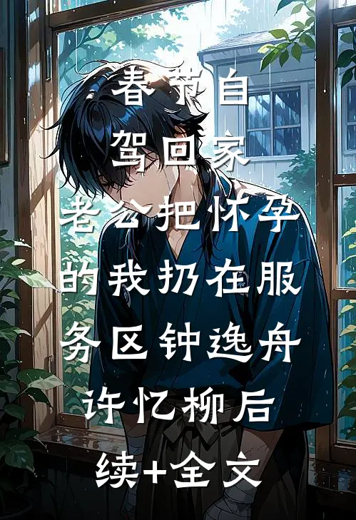 春节自驾回家，老公把怀孕的我扔在服务区钟逸舟许忆柳后续+全文