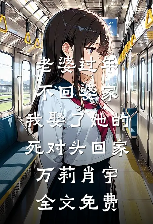 老婆过年不回婆家，我娶了她的死对头回家万莉肖宇全文免费
