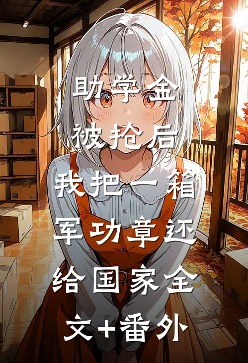 助学金被抢后，我把一箱军功章还给国家全文+番外