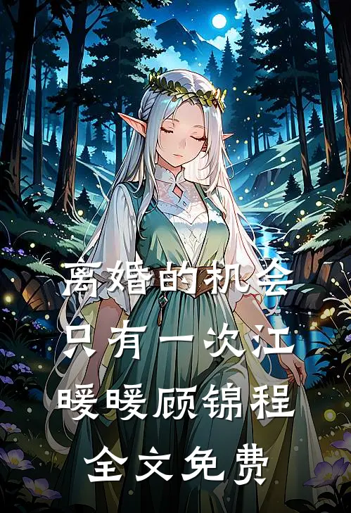 离婚的机会只有一次江暖暖顾锦程全文免费