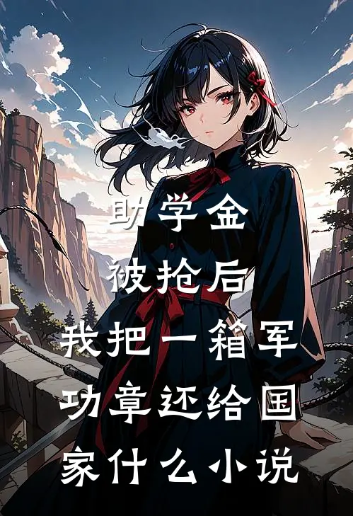 助学金被抢后，我把一箱军功章还给国家什么小说