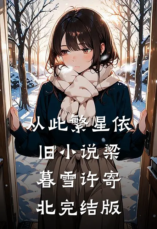 从此繁星依旧小说梁暮雪许寄北完结版