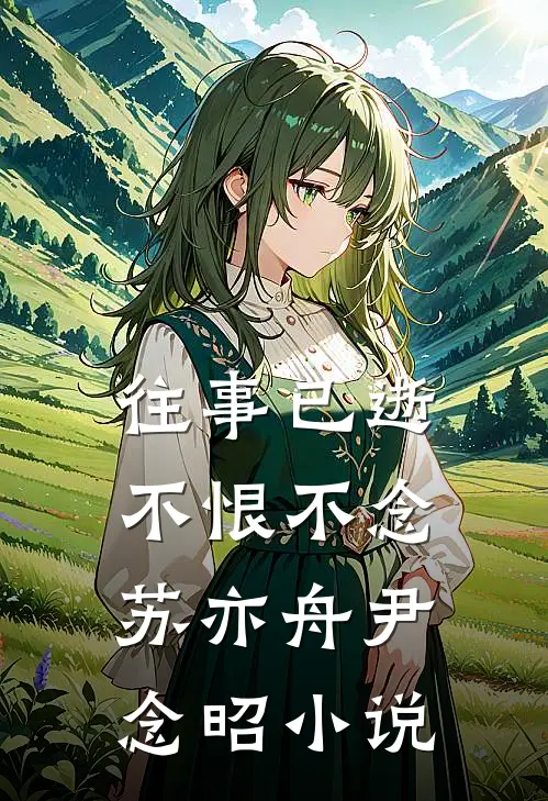 往事已逝，不恨不念苏亦舟尹念昭小说