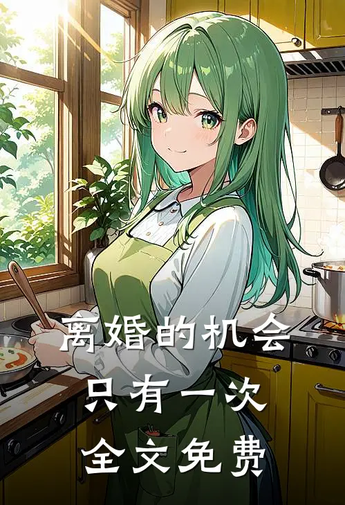 离婚的机会只有一次全文免费
