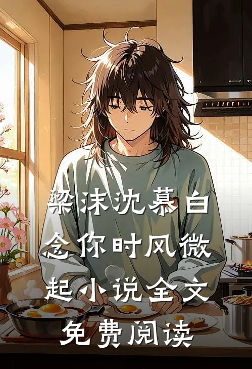 梁沫沈慕白念你时风微起小说全文免费阅读