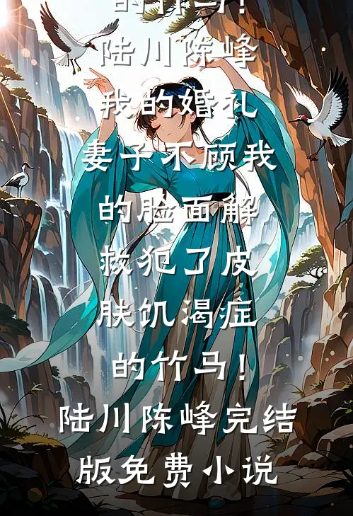 再见阿禾小说结局