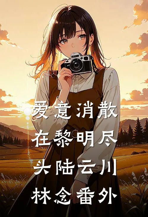 爱意消散在黎明尽头陆云川林念番外
