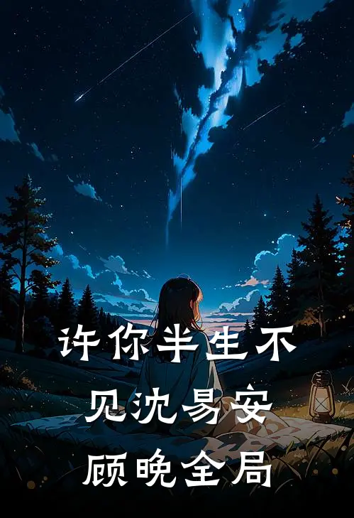 许你半生不见沈易安顾晚全局