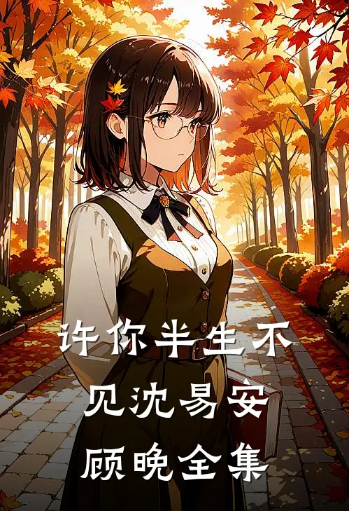 许你半生不见沈易安顾晚全集