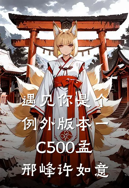 遇见你是个例外 版本一C500孟邢峰许如意
