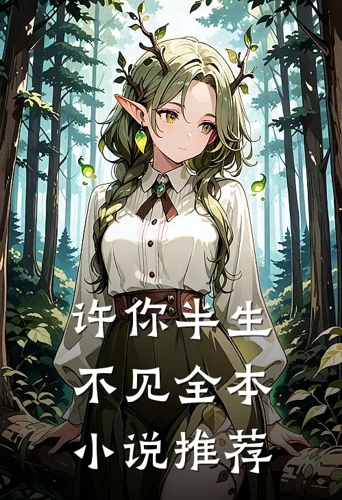 许你半生不见全本小说推荐