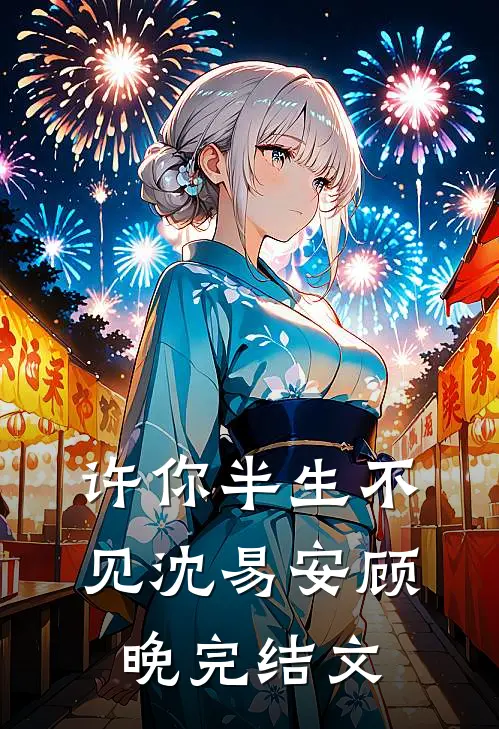 许你半生不见沈易安顾晚完结文