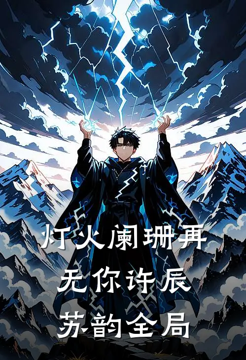 灯火阑珊再无你许辰苏韵全局