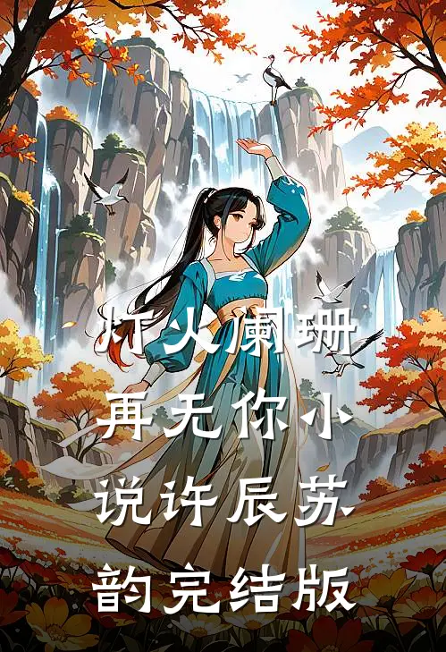 灯火阑珊再无你小说许辰苏韵完结版