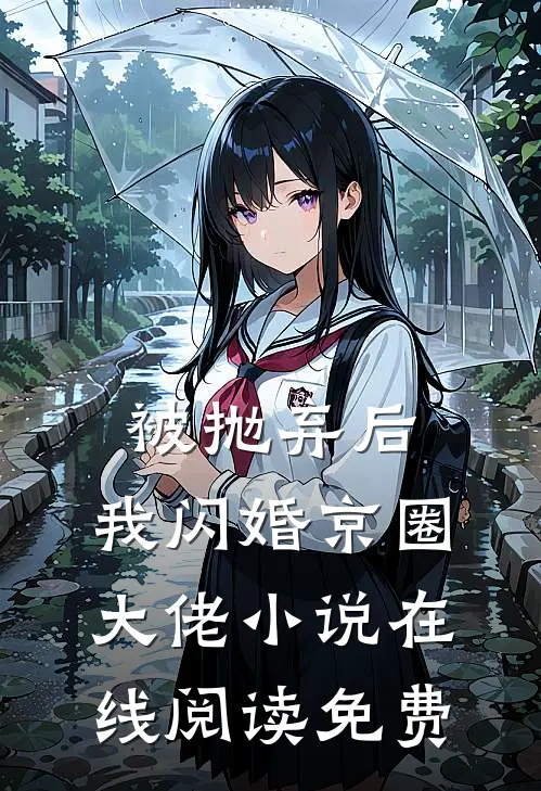 被抛弃后，我闪婚京圈大佬小说在线阅读免费