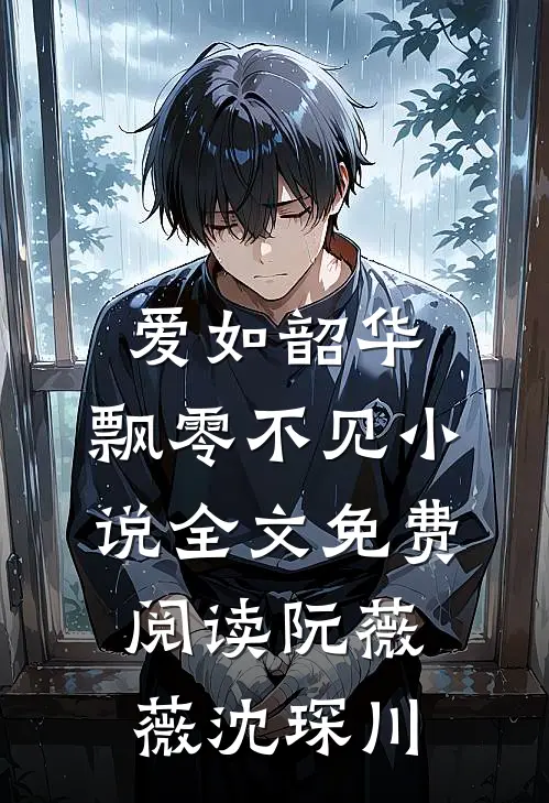 爱如韶华，飘零不见小说全文免费阅读阮薇薇沈琛川