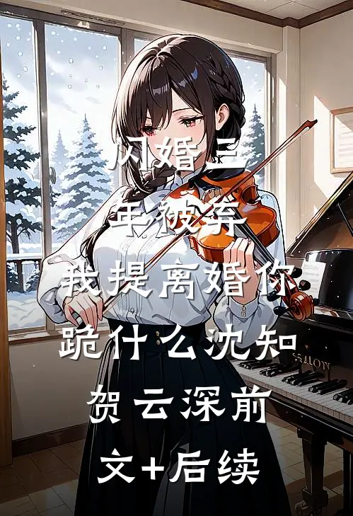 闪婚三年被弃，我提离婚你跪什么沈知贺云深前文+后续