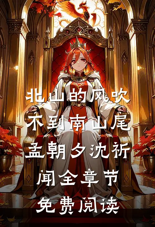 北山的风吹不到南山尾孟朝夕沈祈闻全章节免费阅读