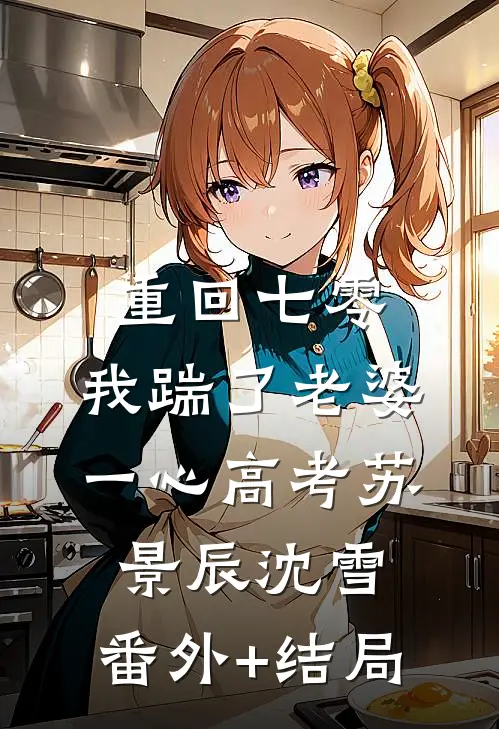 重回七零，我踹了老婆一心高考苏景辰沈雪:(番外)+(结局)