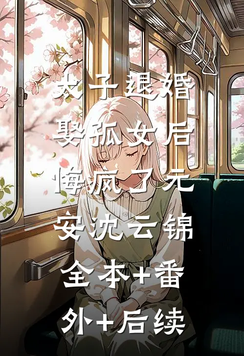 太子退婚娶孤女后，悔疯了元安沈云锦:全本+番外+后续