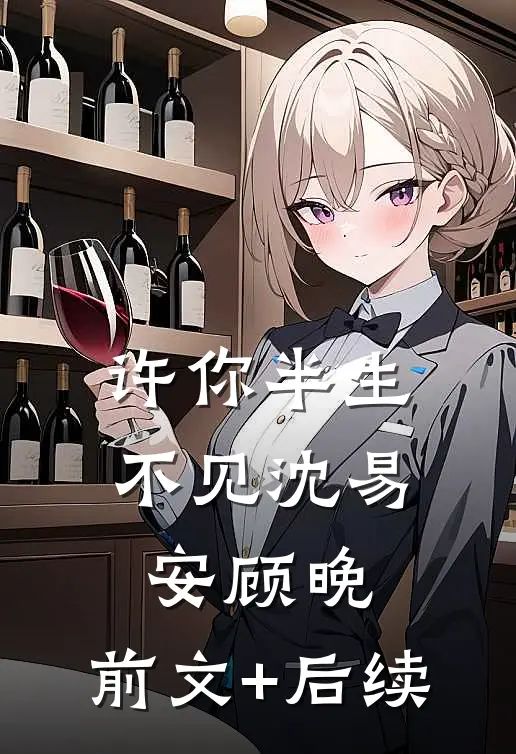 许你半生不见沈易安顾晚:前文+后续