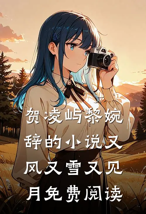 贺凌屿黎婉辞的小说又风又雪又见月免费阅读