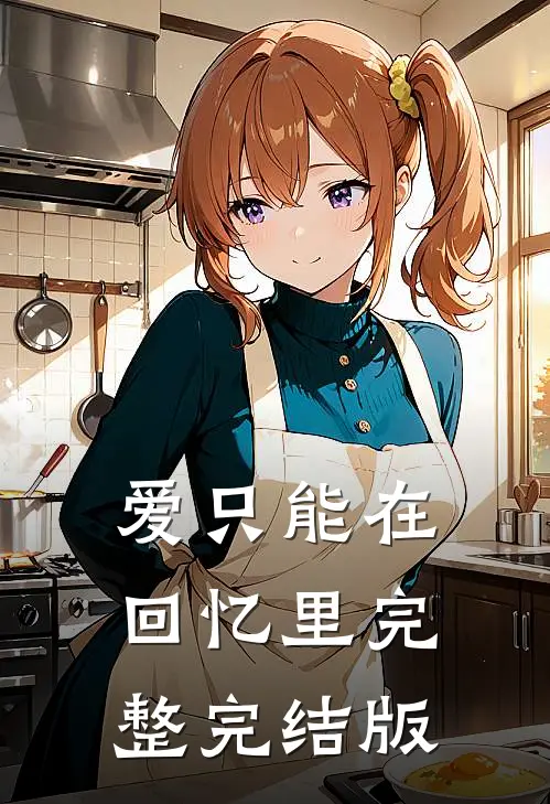 爱只能在回忆里完整完结版