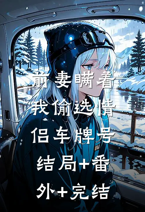 前妻瞒着我偷选情侣车牌号:结局+番外+完结