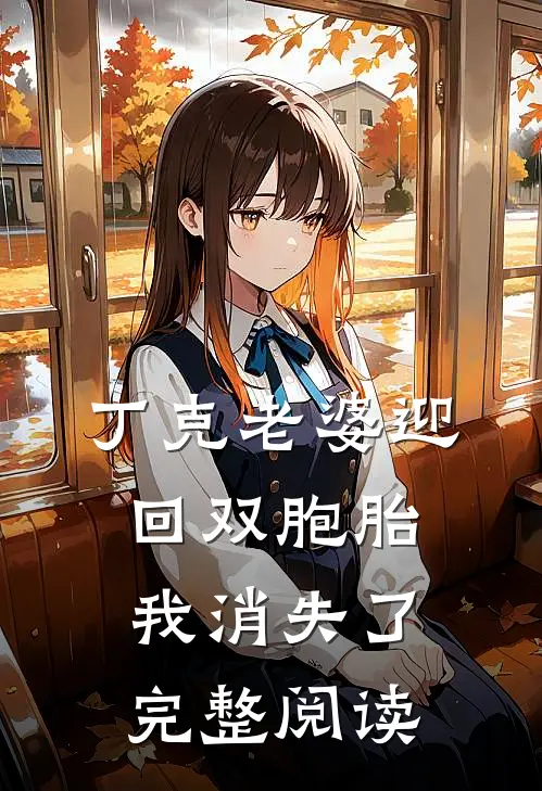 丁克老婆迎回双胞胎，我消失了完整阅读