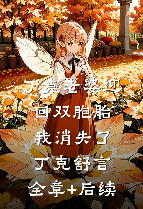 丁克老婆迎回双胞胎，我消失了丁克舒言:全章+后续